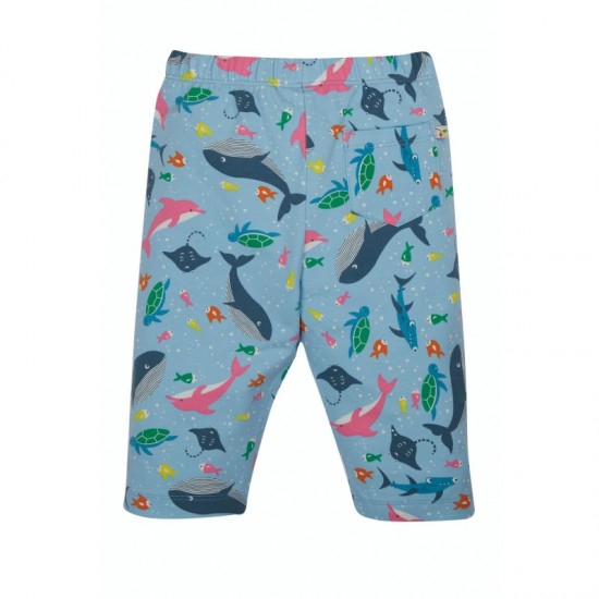 Shorts - Frugi - Laurie  - Dolphins Bengal Bay - last size