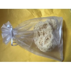 Gift - Baby bathing - natural sponge