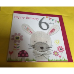 CARDS - Birthday - 6 - BUNNY RABBIT - Happy Birthday - 6 Today 