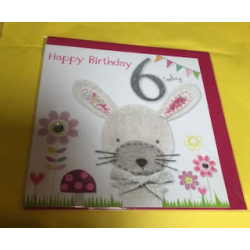 CARDS - Birthday - 6 - BUNNY RABBIT - Happy Birthday - 6 Today 