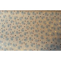 Wrapping Paper - BLUE DUCKS (posted folded)