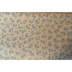Wrapping Paper - BABY - BLUE DUCKS (posted folded)
