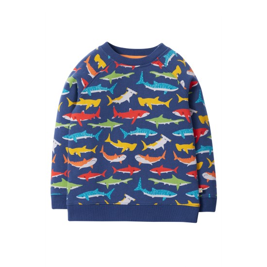 Jumper - Frugi - REX - Shiver of SHARKS