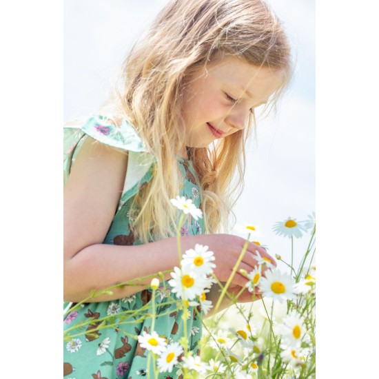 Dress - SKATER - Short sleeves - FRUGI - Morwenna - Bunny Rabbits and Garden flowers 