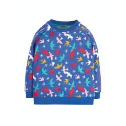 Jumper - Frugi - REX - BIRDS - Sweatshirt -  Rainbow Birds Flight