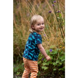 Set - DINOSARS - 2pc - Frugi - Orwin - Dinosaurs Top and Marigold Orange Stripe leggings