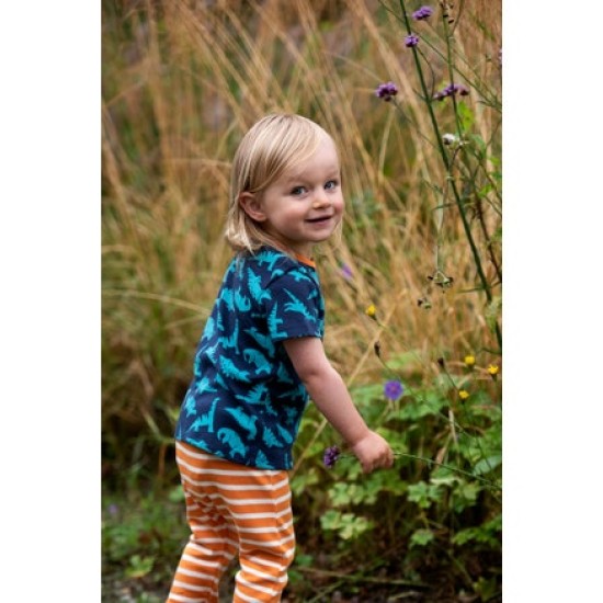 Set - 2pc - Frugi - Orwin - DINOSAURS - Dinosaurs Top and Marigold Orange Stripe leggings