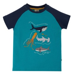 Top - Frugi - Raglan - Rishi - Sealife
