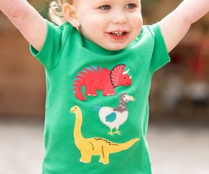 DINOSAURS  & DRAGONS & CROCODILES