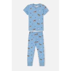 Pyjamas - HORSES - Summer - Sky Blue Farm and Horse 