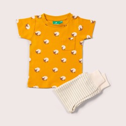 Set - FARM - 2pc -  LGR - Counting Sheep  - UNISEX - last 18-24m
