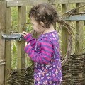 FOREST & WOODLAND WILDLIFE