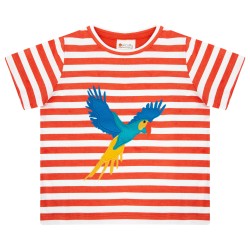 Top - BIRDS - Piccalilly - PARROT - Orange Stripe - Exploring parakeet parrot