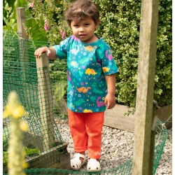 Top - DINOSAURS - Piccalilly - Dinosaurs - Rainbow - Unisex