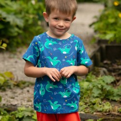 Top - DRAGONS - Piccalilly - unisex- last two 3-4, 4-5y