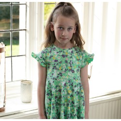 Dress - SKATER - Animals - Short sleeves - Piccalilly - Green farm animals  flower meadow