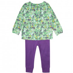 Set - 2pc - Piccalilly - FARM ANIMALS - Green Farm flower meadow - top and trousers leggings